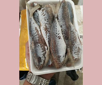 Cá nục một nắng