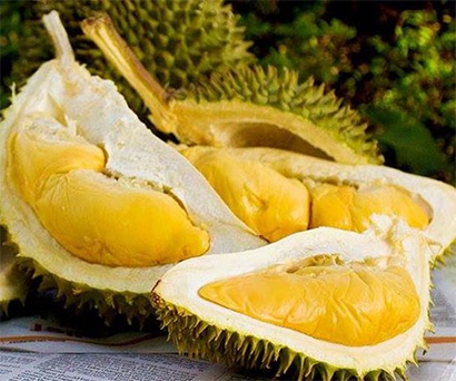 Sầu riêng